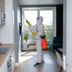 DỊCH VỤ DIỆT CÔN TRÙNG & ĐỘNG VẬT GÂY HẠI